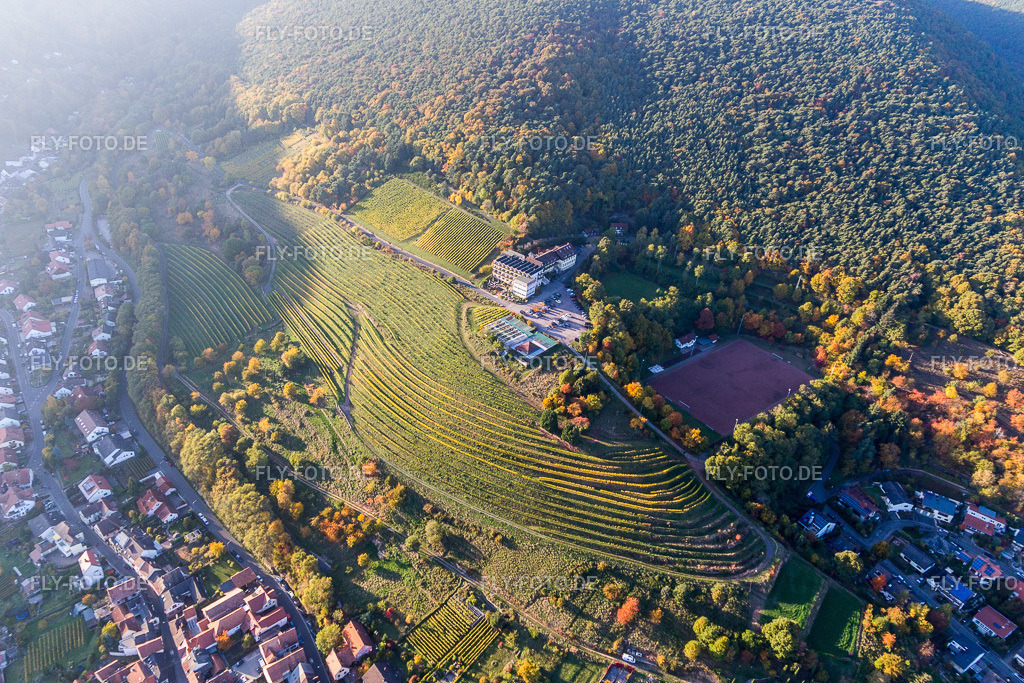 Gebäudekomplex der Hotelanlage Haus am Weinberg | Luftbild: Gebäudekomplex der Hotelanlage Haus am Weinberg im Ortsteil SaintMartin in Sankt Martin im Bundesland Rheinland-Pfalz in Deutschland. Foto: IMG_095637.jpg vom 30.10.2016 durch Werner Riehm/FLY-FOTO.de - Realisiert mit Pictrs.com