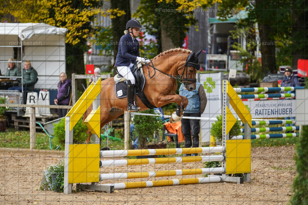 20221009-FAH08342 | Diessen am Ammersee, 2022, Dressur- und Springturnier, Reitsportbilder, Turnierfotografen Bayern, Pferdefotografen, Fotoagentur Herrmann, Turnierbilder