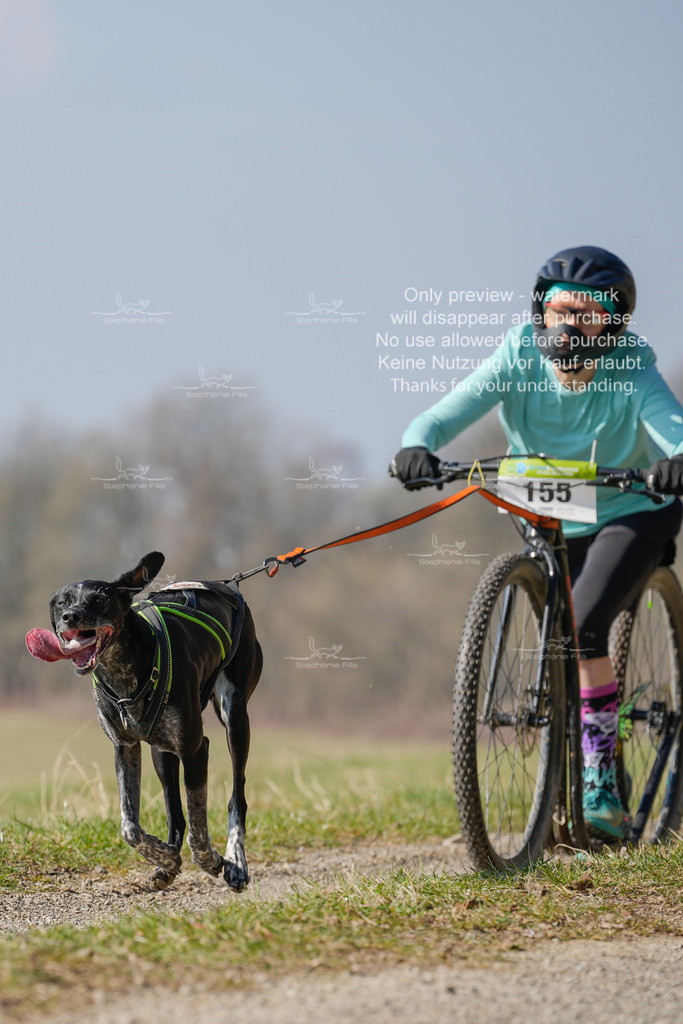 Scooter_Lang-95 | stephaniefillaphotographie - Realisiert mit Pictrs.com