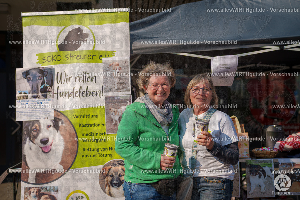 Pfötchenmarkt Nettetal-Lobberich 2026 - Nettetal-Tag - Daniel Wirth - www.allesWIRTHgut.de - @allesWIRTHgut_Tierfotografie 7R508322 | Professionelle Tierfotografie in Mönchengladbach von Daniel Wirth (allesWIRTHgut). Liebevolle & natürliche Bilder von Hunden & Katzen für unvergessliche Erinnerungen.