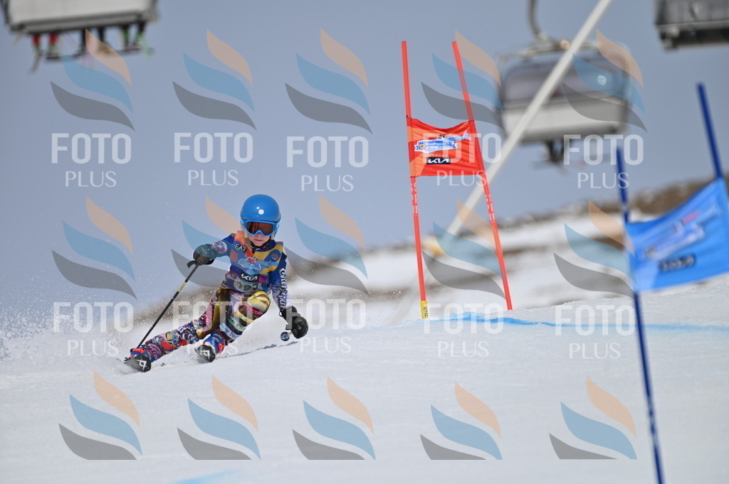 BGV_3628 | holidayphoto