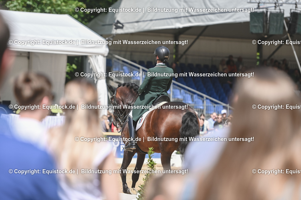 D78_2912 | equistock