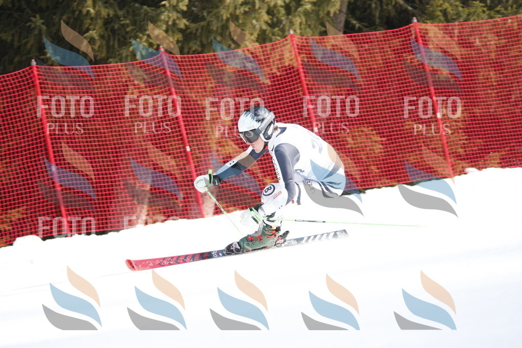 D8178 | holidayphoto