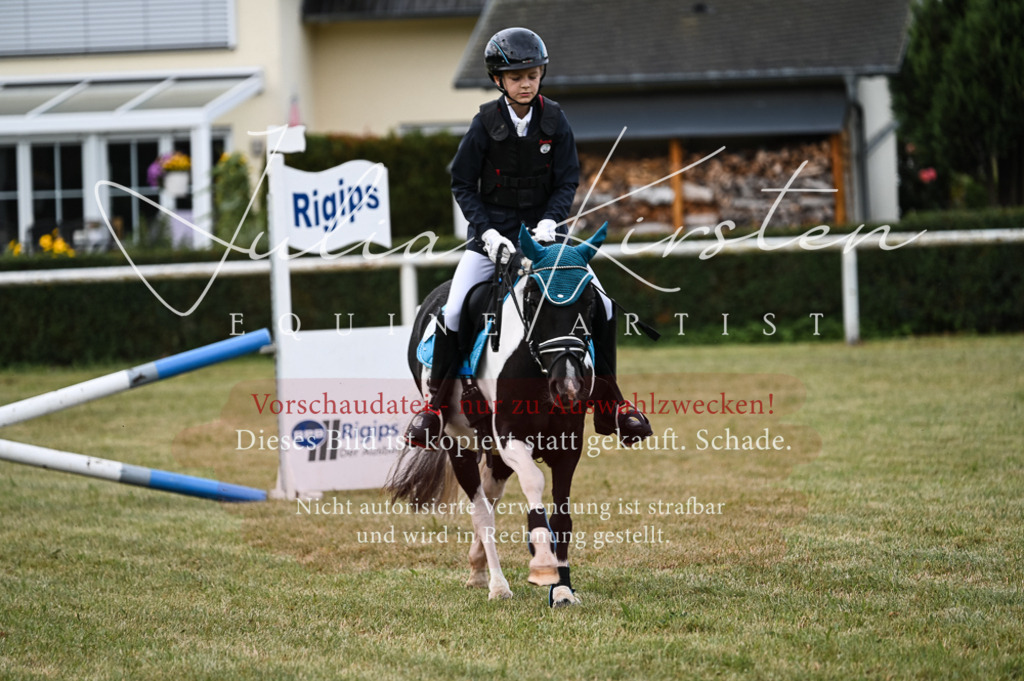 DSC_5478 | Pferde- und Turnierfotografie in Westsachsen. Pferdeportraits, Auftragszeichnungen und intuitive Kunst.