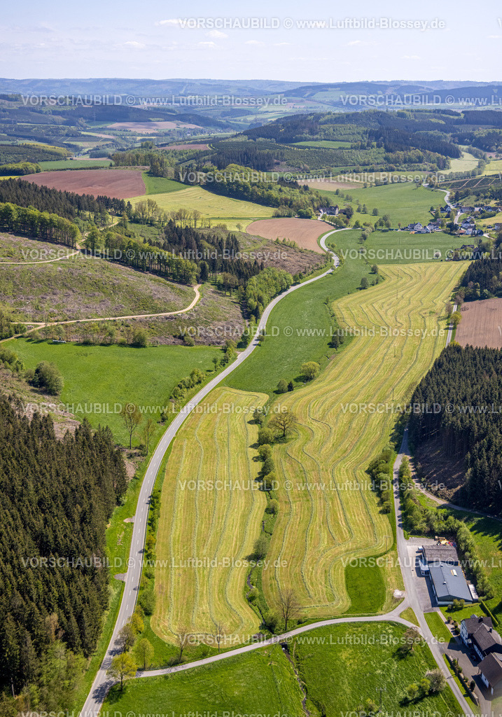 Eslohe230505824 | Luftbild, Wiesen und Felder mit Hengsbecker Bach und Baumreihe, Hengsbeck, Eslohe, Sauerland, Nordrhein-Westfalen, Deutschland