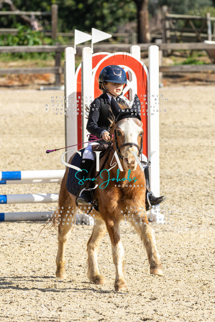 IMG_3549 | s-jay-photography - Realisiert mit Pictrs.com