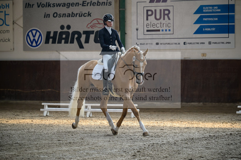 Reitturnier Voxtrup | Entdecke hochwertige Reitturnierfotos von Foto Oger. Professionell, emotional und authentisch – jetzt Lieblingsmomente im Shop bestellen.Deutschlandweite Turnierfotografie. - Realisiert mit Pictrs.com