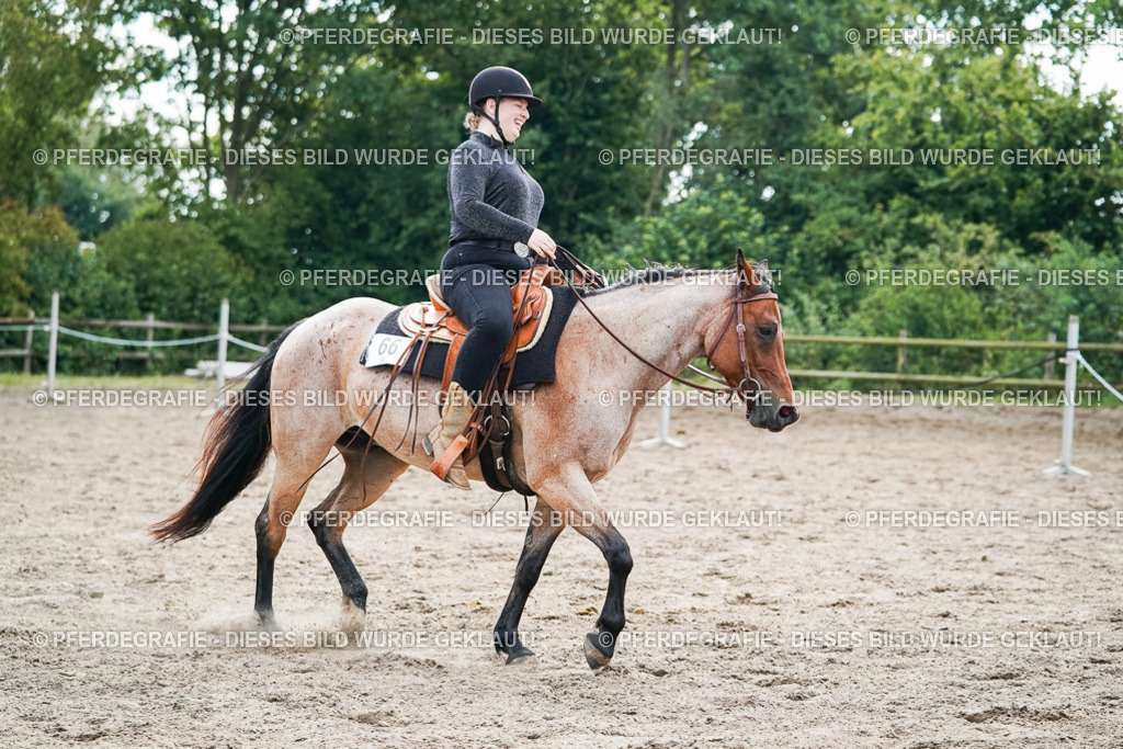 DSC04530 | Pferdegrafie