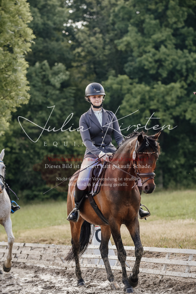 DSC_8277 | Pferde- und Turnierfotografie in Westsachsen. Pferdeportraits, Auftragszeichnungen und intuitive Kunst.