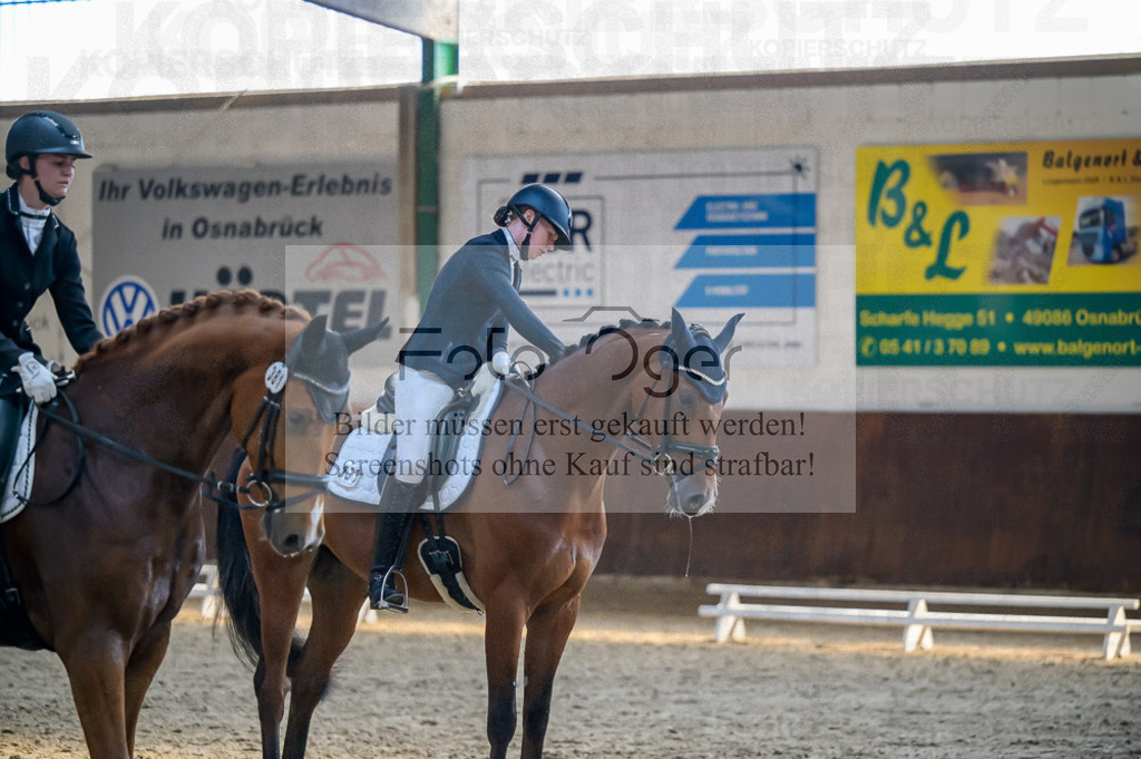 Reitturnier Voxtrup | Entdecke hochwertige Reitturnierfotos von Foto Oger. Professionell, emotional und authentisch – jetzt Lieblingsmomente im Shop bestellen.Deutschlandweite Turnierfotografie. - Realisiert mit Pictrs.com