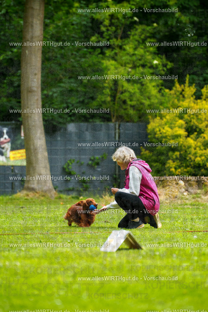 @allesWIRTHgut_Tierfotografie - www.allesWIRTHgut.de - 091101-7R506694 | Professionelle Tierfotografie in Mönchengladbach von Daniel Wirth (allesWIRTHgut). Liebevolle & natürliche Bilder von Hunden & Katzen für unvergessliche Erinnerungen.