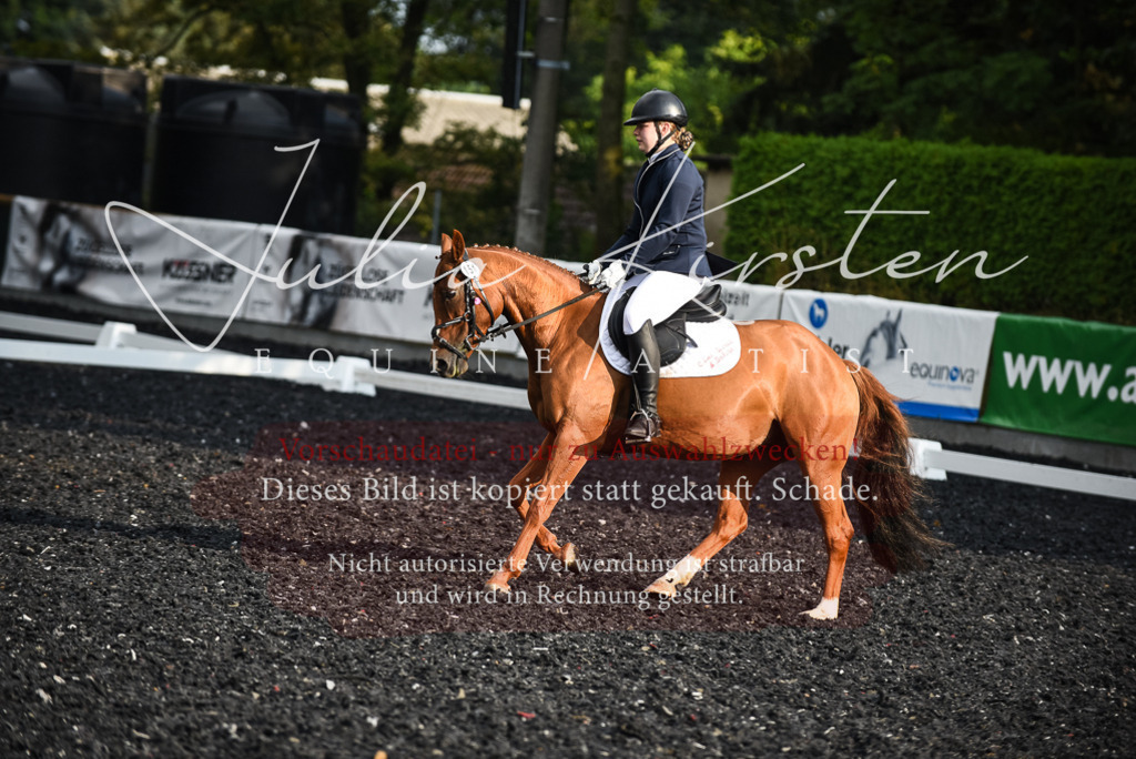 DSC_3438 | Pferde- und Turnierfotografie in Westsachsen. Pferdeportraits, Auftragszeichnungen und intuitive Kunst.