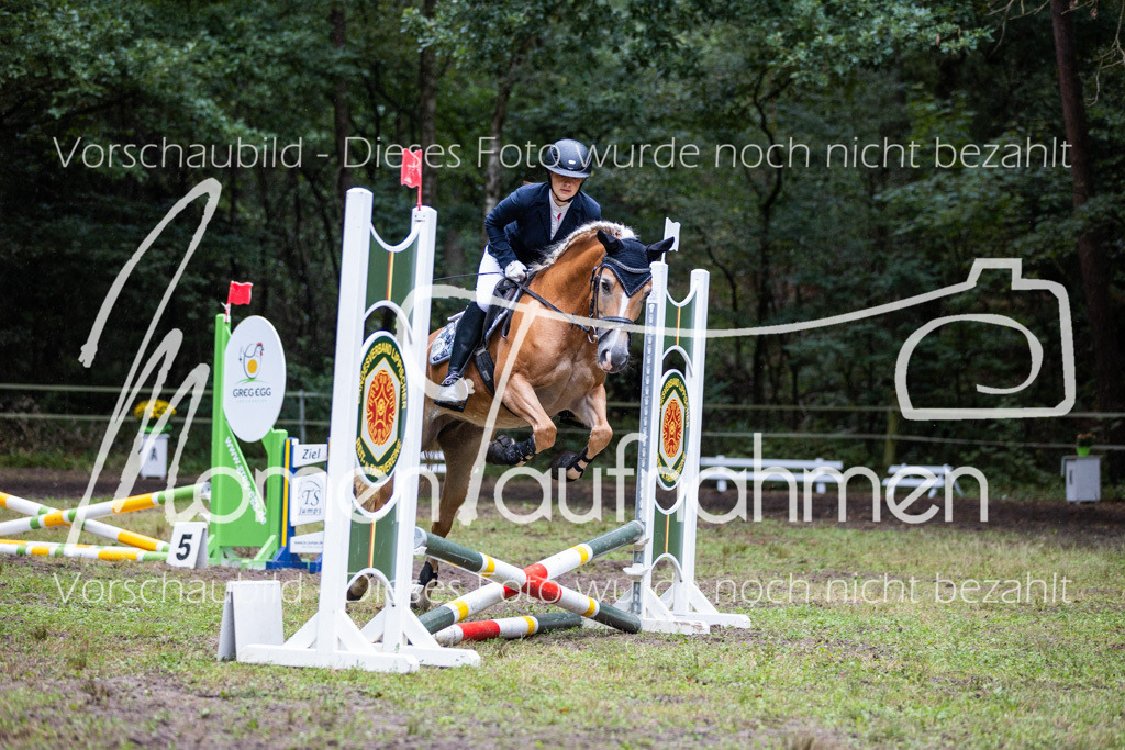 HB-JaD-004 | MomenTaufnahmen Pferdesportfotos