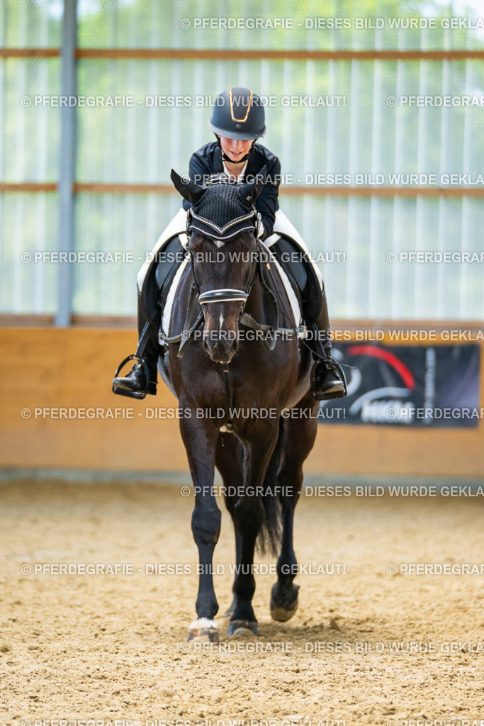 DSC09542 | Pferdegrafie