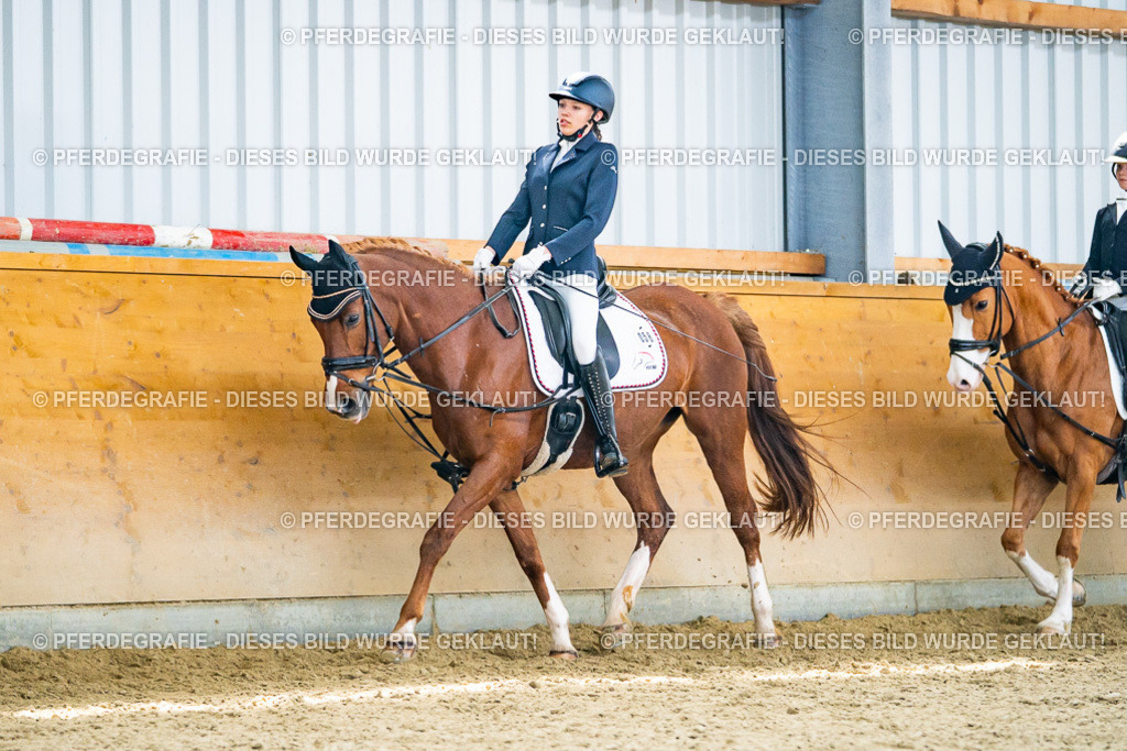 DSC04601 | Pferdegrafie