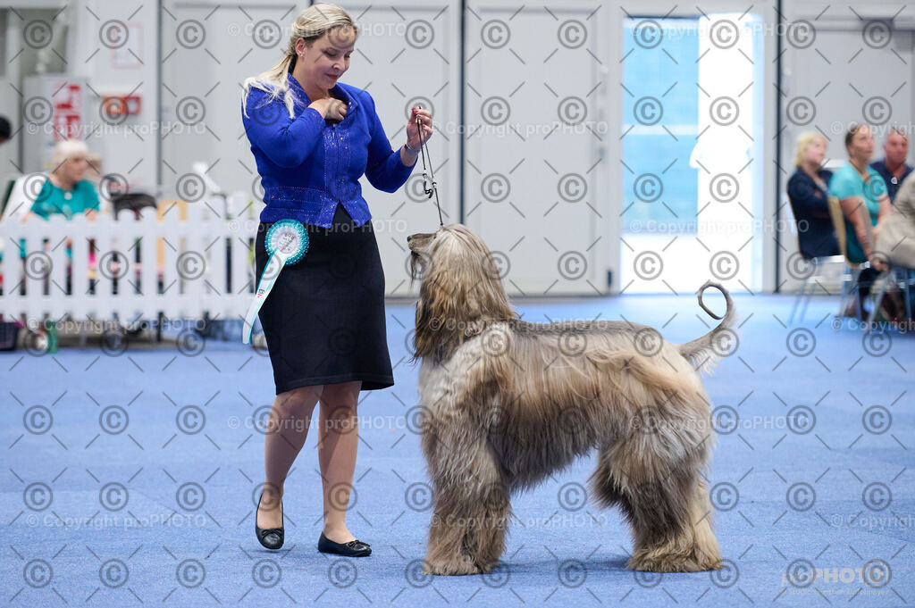 202406_ÖKV-IHA-Tulln24_DSC_3228 | proPHOTO - Realisiert mit Pictrs.com