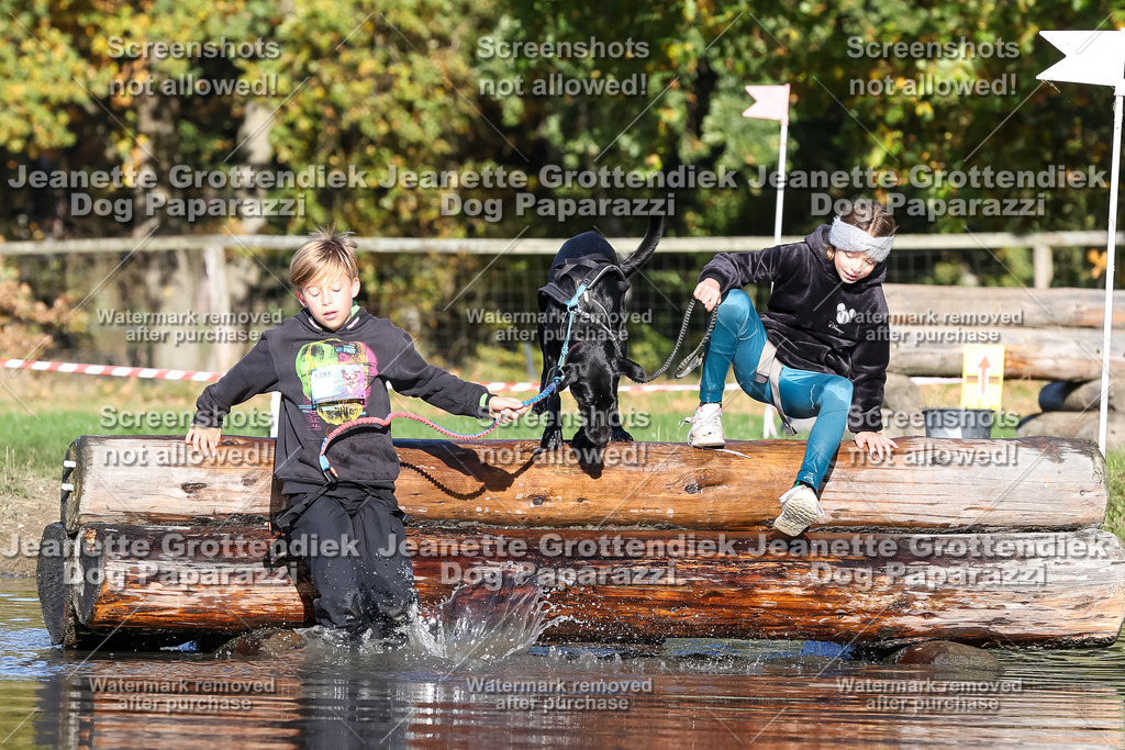 Dog Paparazzi - Strongdog 10-25-8912 | Dog Paparazzi Jeanette Grottendiek Fotografie & Videografie