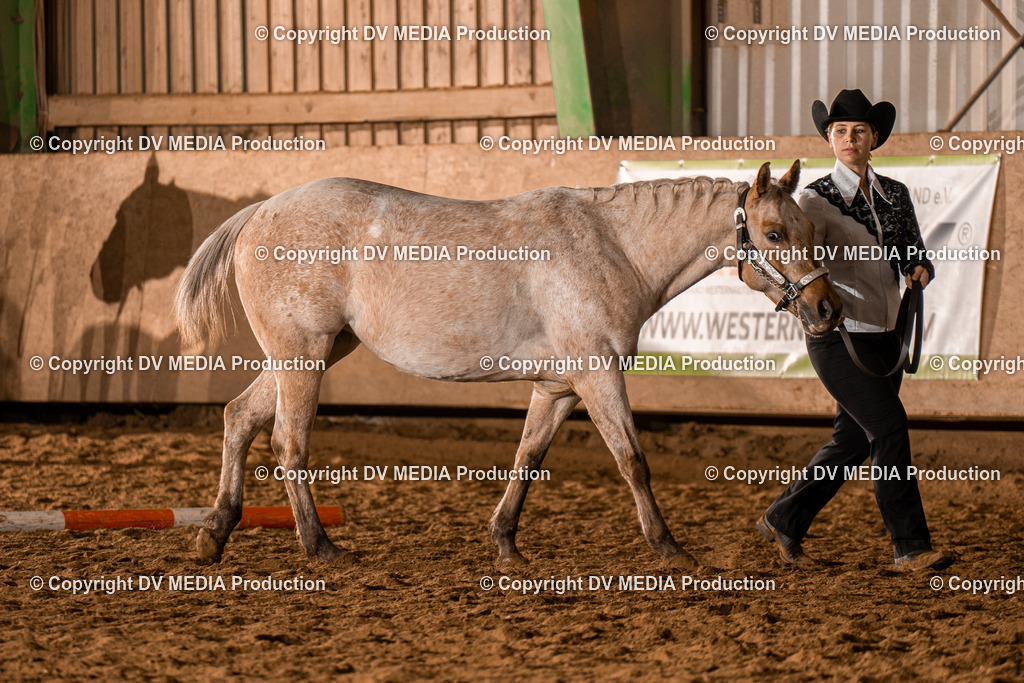 BAL01321 | dv-media-shop - Realisiert mit Pictrs.com