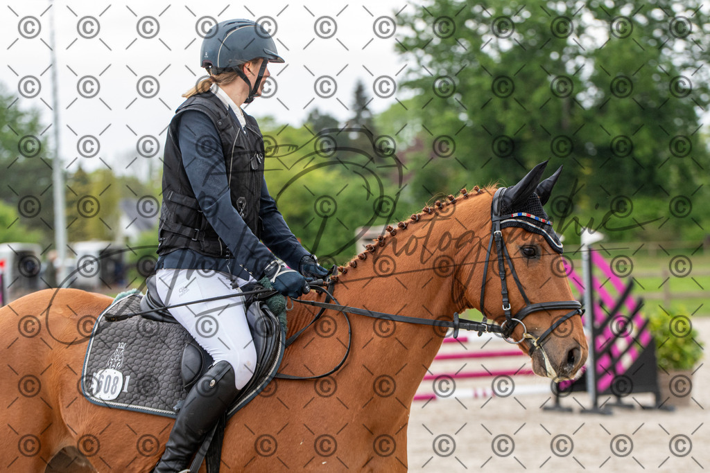 KPT_7644 | andre_photographic