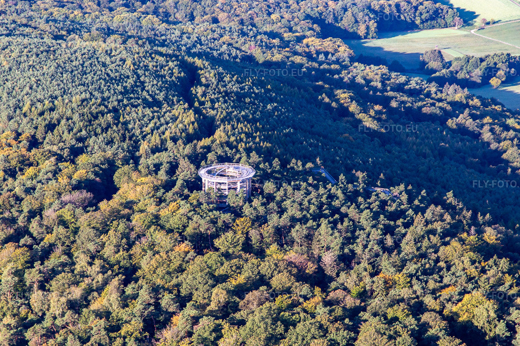 Vue aérienne: Passerelle dans les arbres d'Alsace à Cleebourg dans le département Bas Rhin, France – .Photo: IMG_138947.jpg prise le 24/09/2023 par Werner Riehm/FLY-FOTO.eu – Résolution de l'original: 5051 x 3367 px – den Baumwipfelpfaden der Erlebnis Akademie AG!