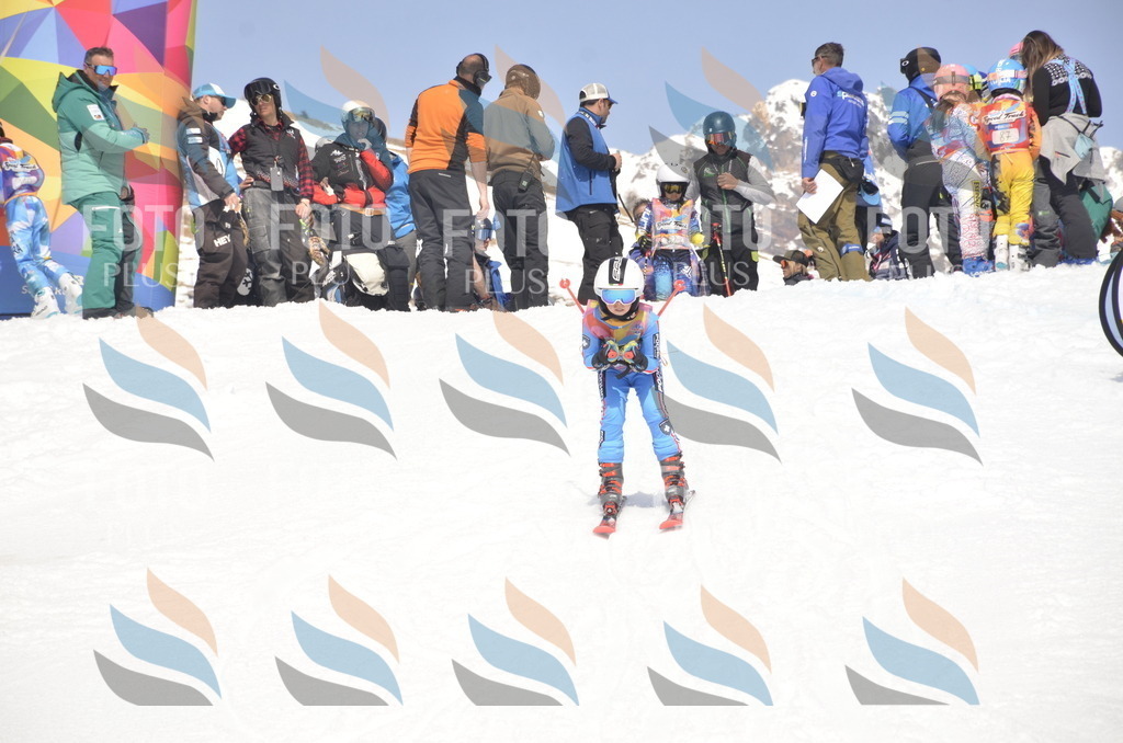 _ELE8981 | holidayphoto