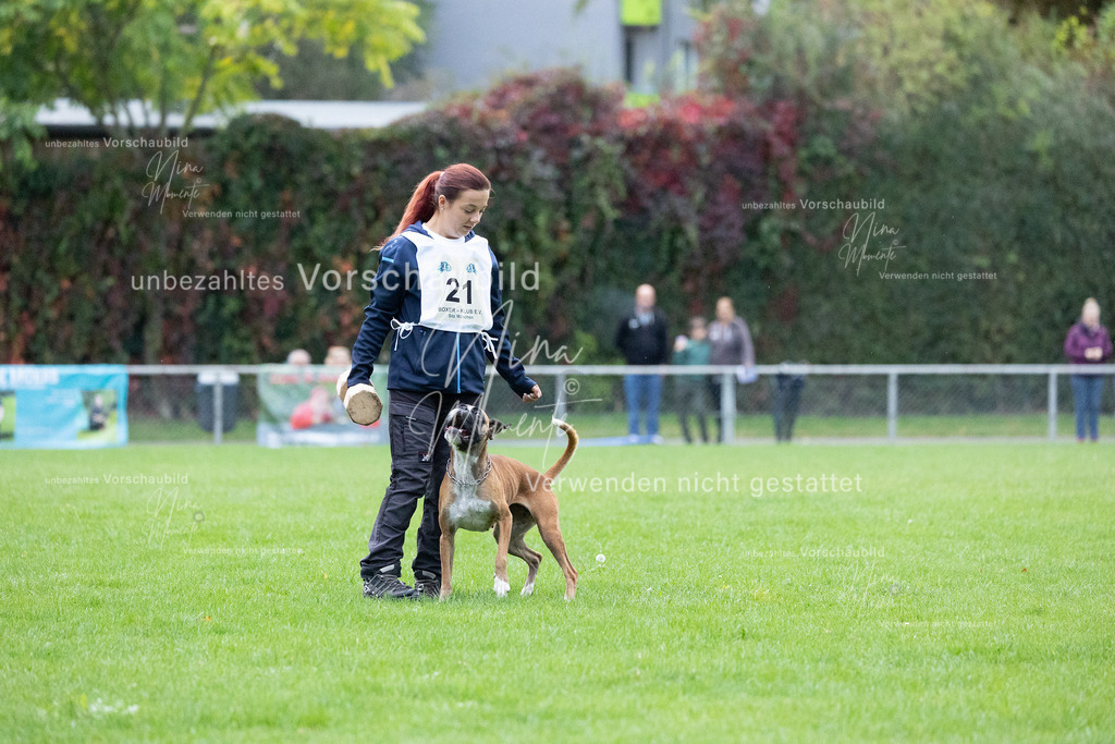 _16A4667 | Einzigartige Fotos von Hunden & Menschen –Actionfotos, Portraits, Vereinsaufnahmen & Paarshootings – authentisch, lebendig & mit Herz.