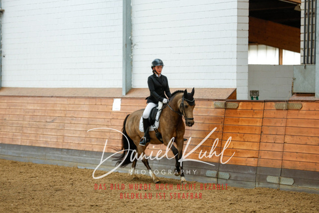 _62_7008 | Turniersportfotografie; Pferdefotografie; Dressurfotografie