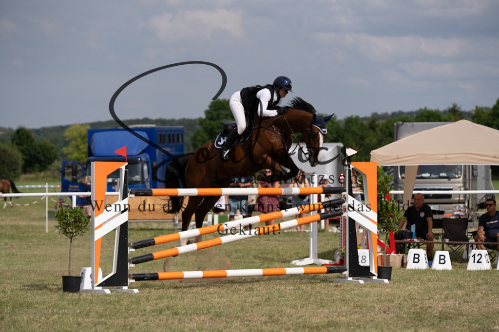 A7V02582 | Pferdefotograf