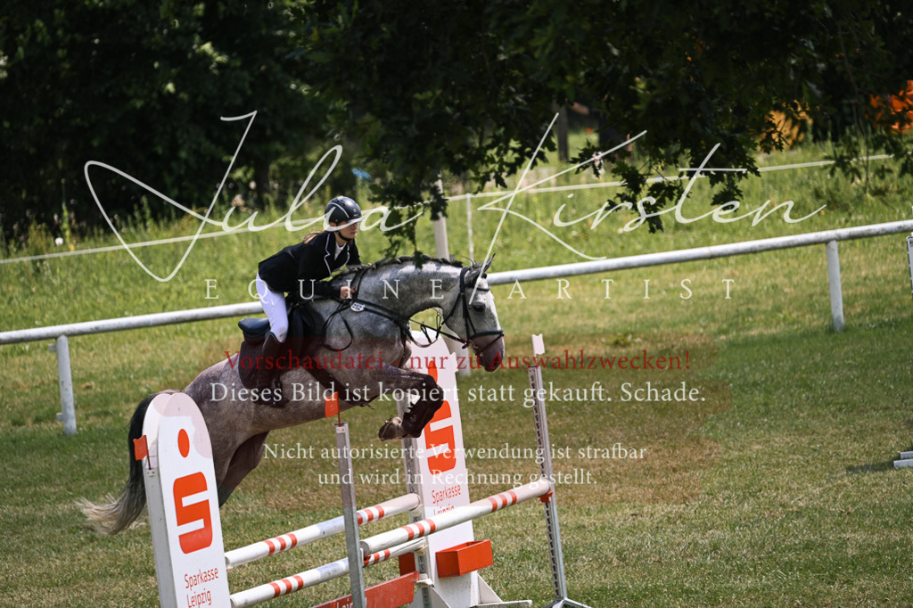 DSC_9590 | Pferde- und Turnierfotografie in Westsachsen. Pferdeportraits, Auftragszeichnungen und intuitive Kunst.