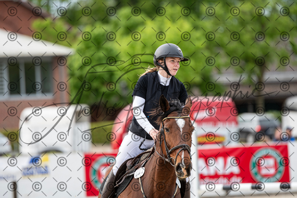 KPT_7017 | andre_photographic