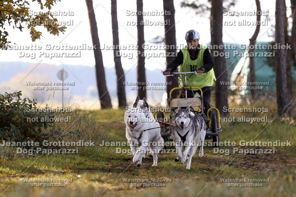 Dog Paparazzi - Elsholz 25 -93 | Dog Paparazzi Jeanette Grottendiek Fotografie & Videografie - Realisiert mit Pictrs.com