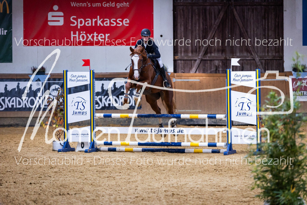 Sth-A-Springen-080 | MomenTaufnahmen Pferdesportfotos