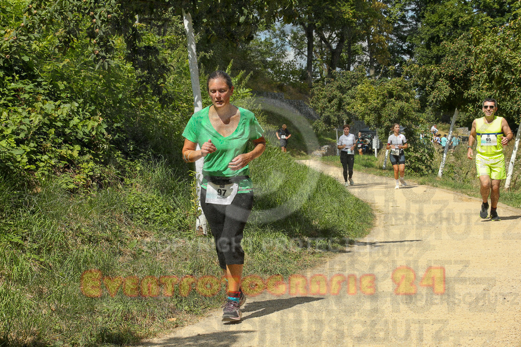 250824_1245_EX1_0392 | Sportfotografie im Rhein-Sieg Kreis, Köln, Bonn, NRW, Rheinland Pfalz, Hessen, etc. Unser Tätigkeitsfeld umfasst den Laufsport vom Volkslauf über den Marathon, Duathlon, Triathon bis zum Ultralauf wie Kölnpfad Ultra oder Schindertrail.