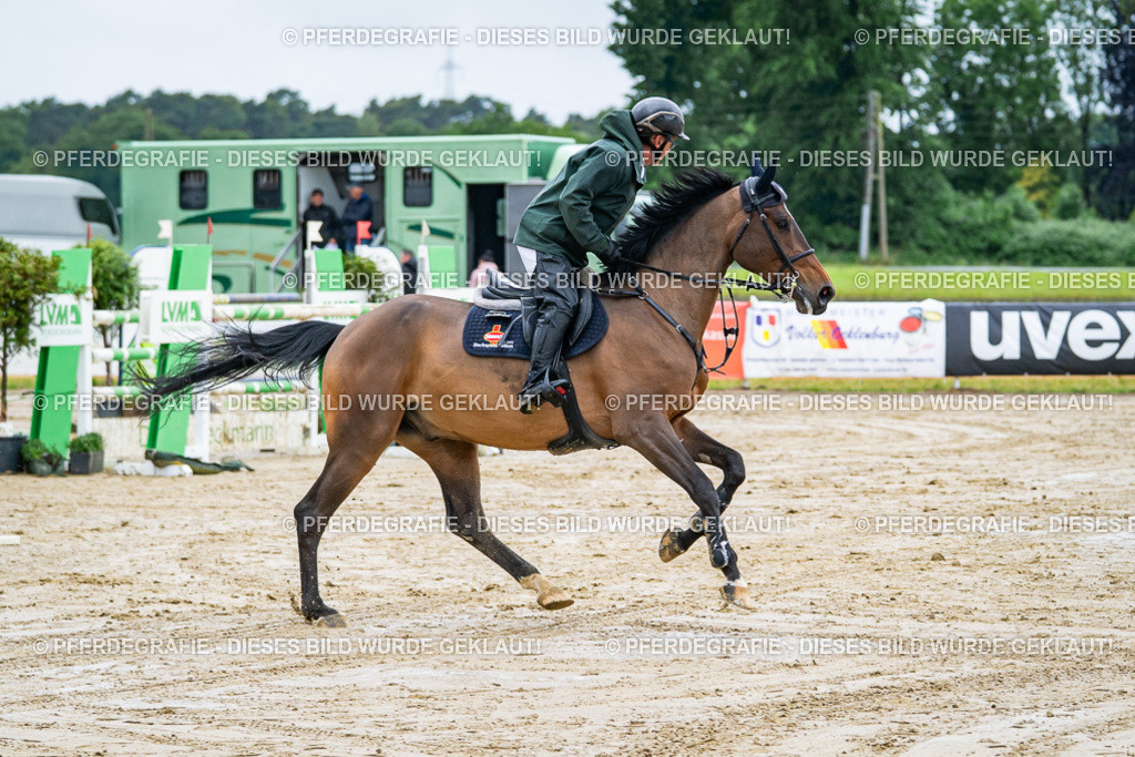 DSC03533 | Pferdegrafie