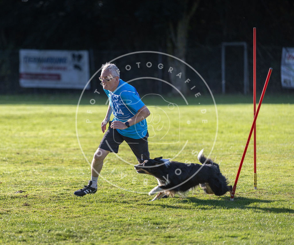 Pfotenfotografie.de_DV3A3308 | Hundefotografie, Tierfotograf, Pfotenfotografie, Fotoshooting Hund, Hunde Portrait, Hundesport, Hundeportraits, Heideshooting, Hunde, Sportfotograf, Hundefotograf, Turnierhundsport, THS, canicross - Realisiert mit Pictrs.com