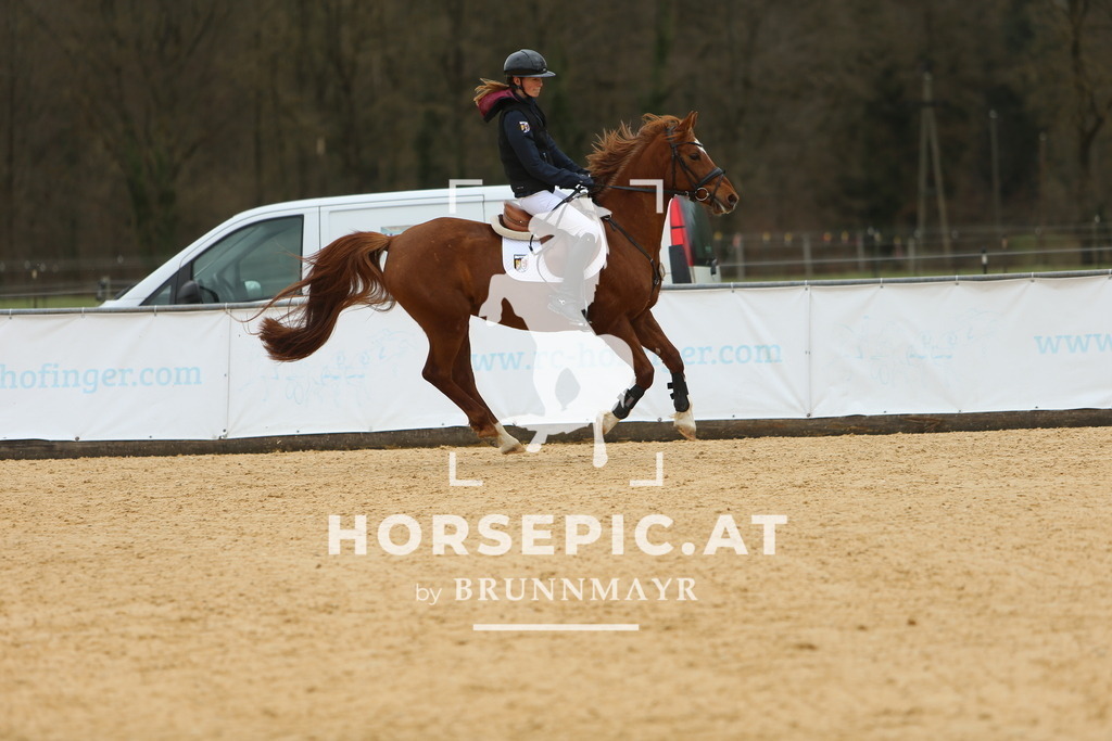 DL2Q1661 | Willkommen bei Brunnmayr - Design & Fotografie – Ihrem Spezialisten für Reitturniere und Pferdeveranstaltungen in Oberösterreich, Salzburg und Bayern! Seit über 17 Jahren sind wir leidenschaftlich dabei.