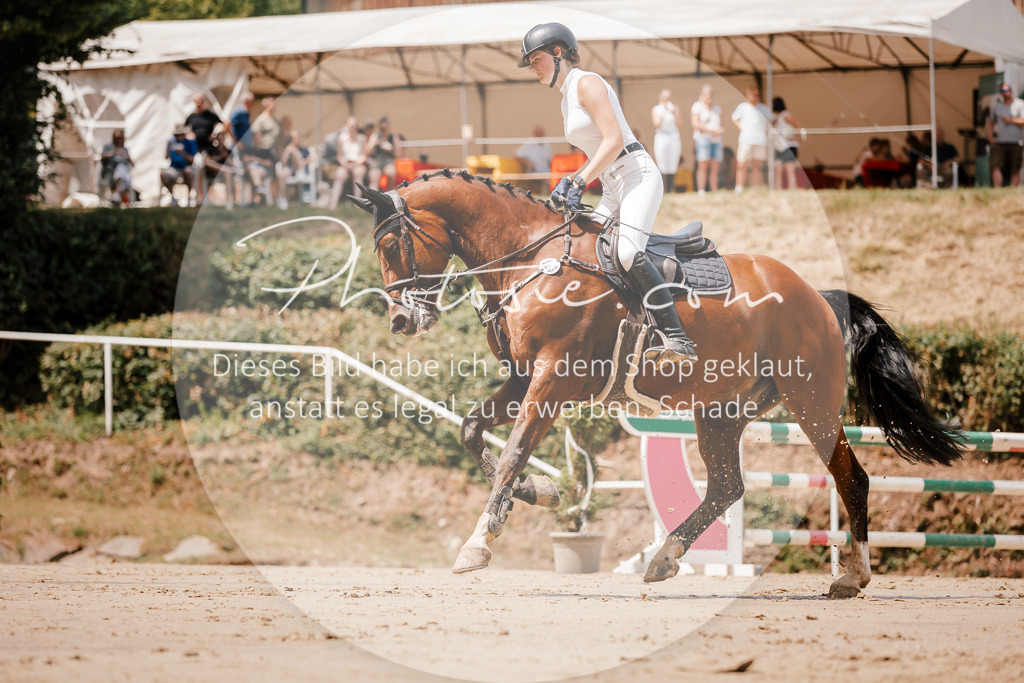 3I6A7842 | Stimmungsvolle Portraits und Reitsportfotografie im Ruhrgebiet und im Münsterland.

Pferdefotografie, Hundefotografie, Tierfotografie, Reportagen, Portraits von Tier und Mensch, Turnierfotografie in Bochum, Recklinghausen, Marl, Haltern am See, Dülmen.. - Realisiert mit Pictrs.com
