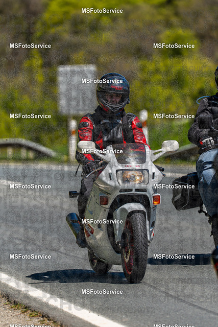 MSFotoServiceXXX267 | MSFotoService - Realisiert mit Pictrs.com