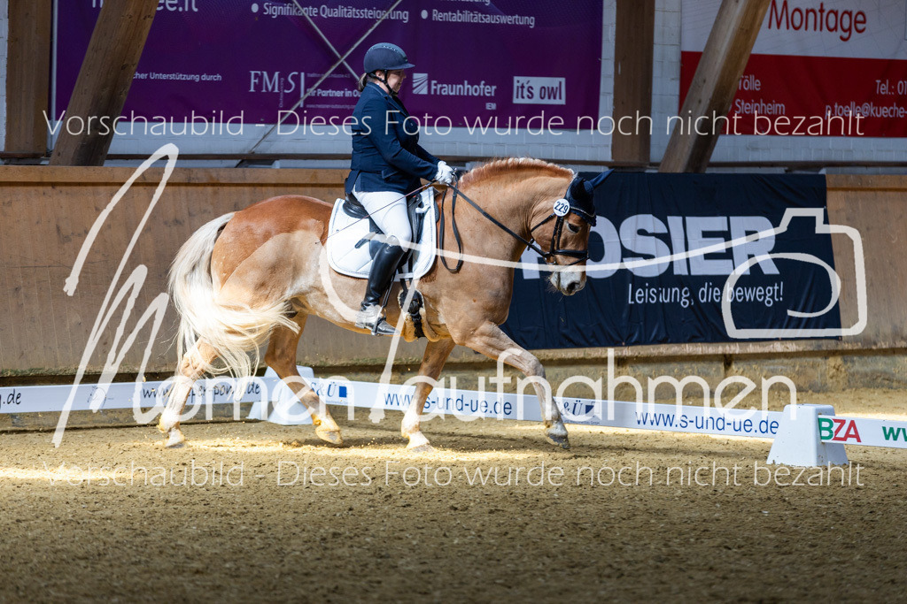 Sth-LPO25-DrR-L-134 | MomenTaufnahmen Pferdesportfotos