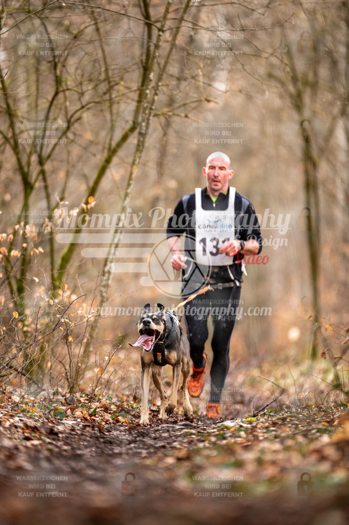 Reiat2023_SON_CaniXRun_5km_M-15 | PayLife
