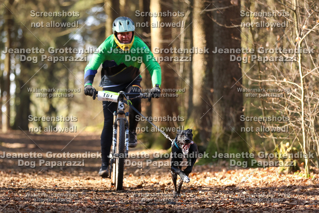 Dog Paparazzi - VCC26-979 | Dog Paparazzi Jeanette Grottendiek Fotografie & Videografie - Realisiert mit Pictrs.com