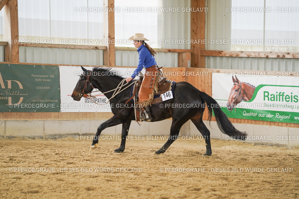 DSC05293 | Pferdegrafie