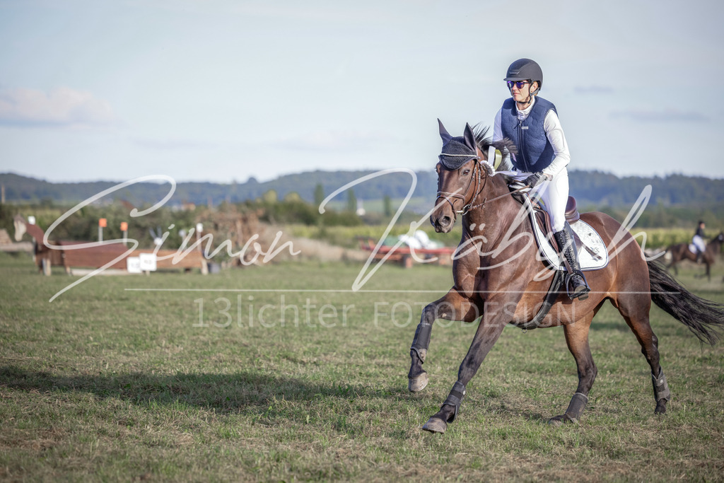 20250906-_3LI8177 | Tierfotografie Pferde, Hunde, Katzen, Haustiere.
Turnierfotografie Reitturniere, Reiten, Springreiten, Dressur in Hanau, dem Main-Kinzig-Kreis und dem Rhein-Main- Gebiet um Frankfurt