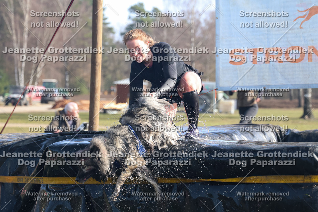 Dog Paparazzi - Strongdog North Mrz26-1205 | Dog Paparazzi Jeanette Grottendiek Fotografie & Videografie - Realisiert mit Pictrs.com