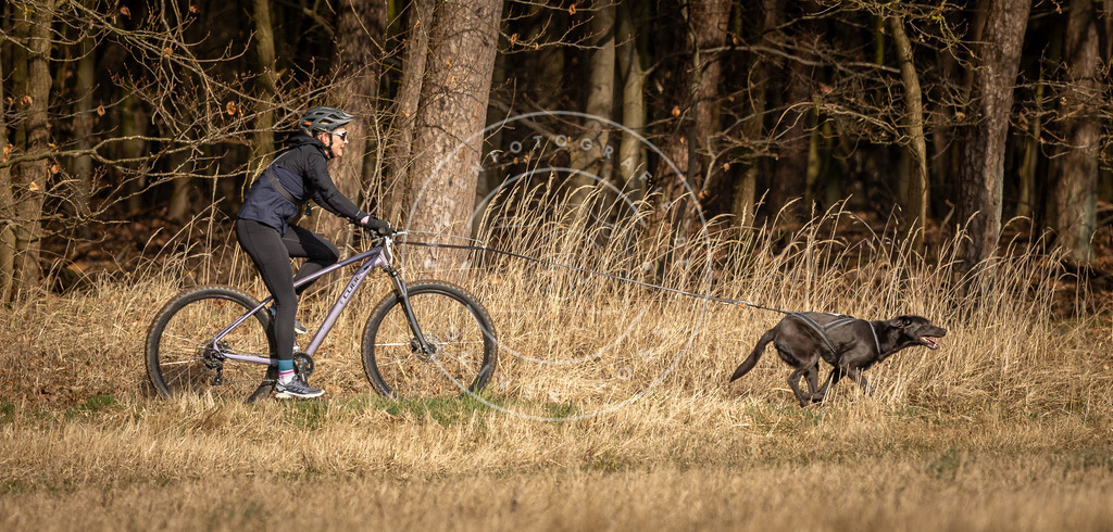 DV3A4517 | Hundefotografie, Tierfotograf, Pfotenfotografie, Fotoshooting Hund, Hunde Portrait, Hundesport, Hundeportraits, Heideshooting, Hunde, Sportfotograf, Hundefotograf, Turnierhundsport, THS,  - Realisiert mit Pictrs.com