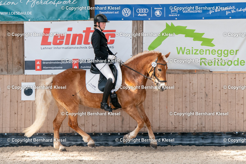 2A903248 | foto-team-bernhard - Realisiert mit Pictrs.com