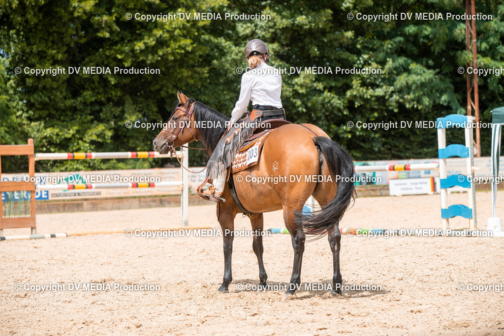 EWP_6650 | dv-media-shop - Realisiert mit Pictrs.com