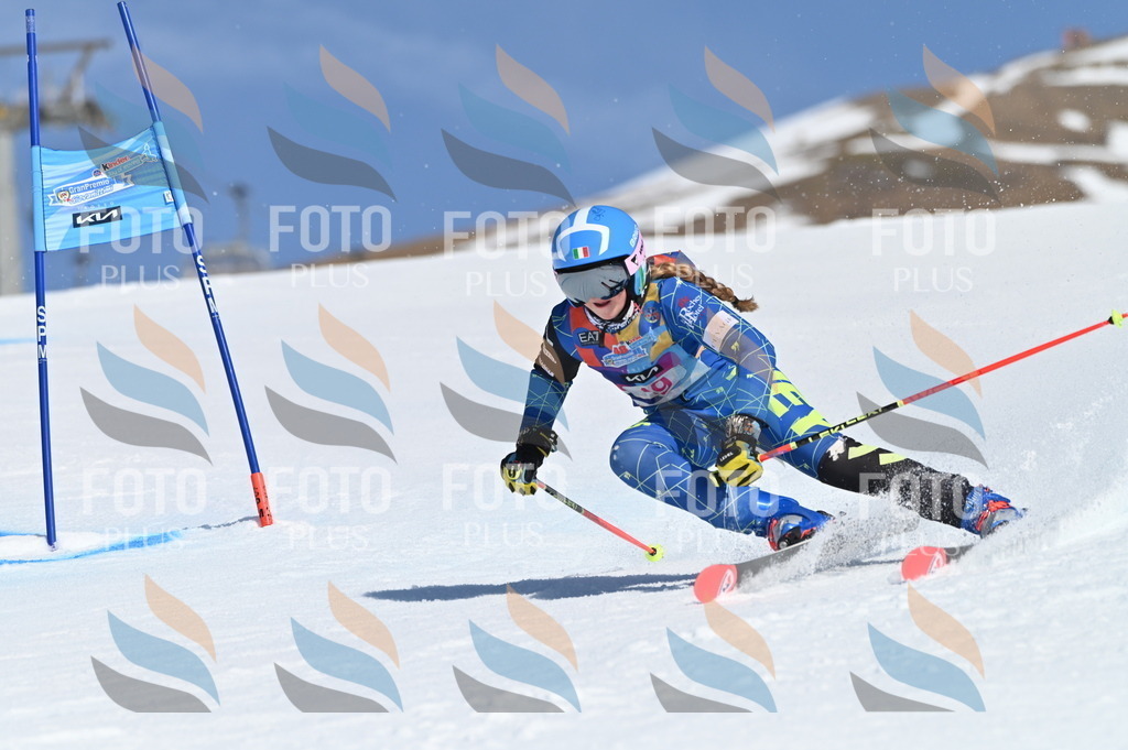 BGV_8519 | holidayphoto