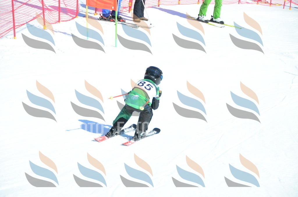 C5630 | holidayphoto