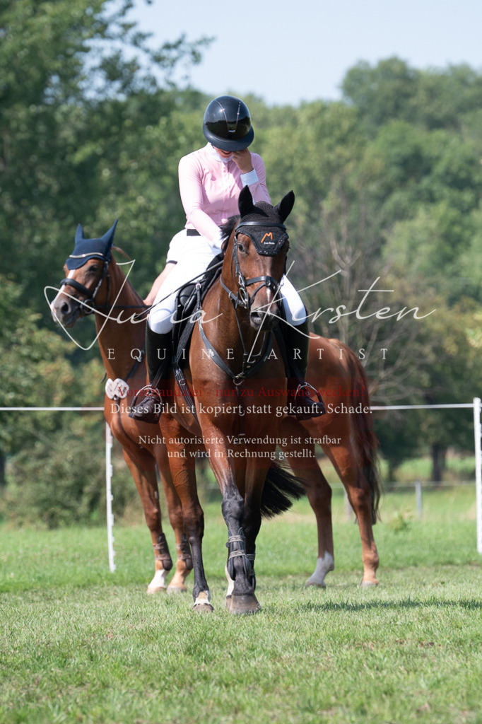 DSC_0617 | Pferde- und Turnierfotografie in Westsachsen. Pferdeportraits, Auftragszeichnungen und intuitive Kunst.